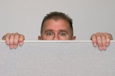 man-peering-over-office-cubicle-6817344.jpg