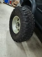 IMG_20231008_171313.jpg