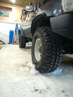 IMG_20231008_160509.jpg