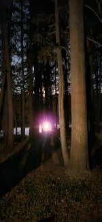 20240820_211252.jpg
