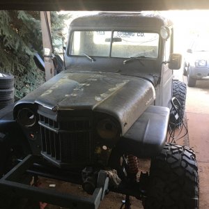56 willys front view.JPG