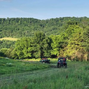 trail ride hillside.JPG