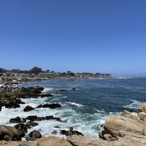 IMG_1962.jpeg