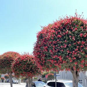 IMG_1977.jpeg