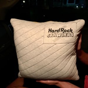 12 Nov - HRC pillow 2.jpg