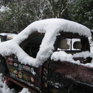 IMG_2687.JPG