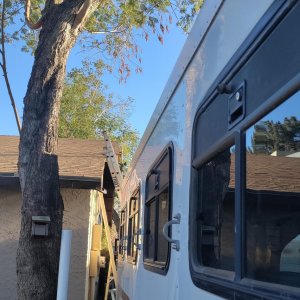 Cut roof.jpg