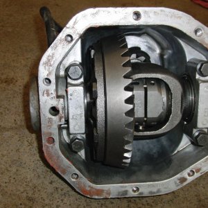 CIMG1584 - Copy.JPG