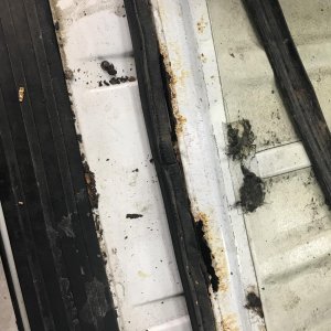 4E0570FF-0970-4074-B3EA-4F913C9C1496.jpeg