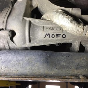 fomocomofo.jpg