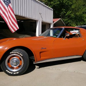 vette.jpg