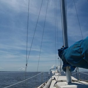 20190508_114046.jpg