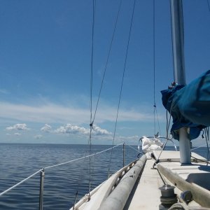 20190508_123939.jpg