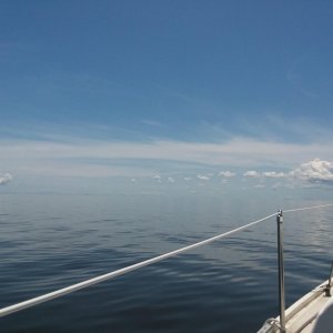 20190508_125245.jpg