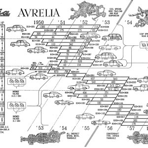 stebbins-chart-new_orig.jpg