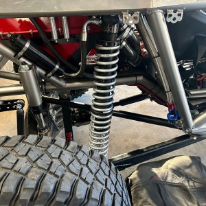 Coilover Springs Rear.jpg