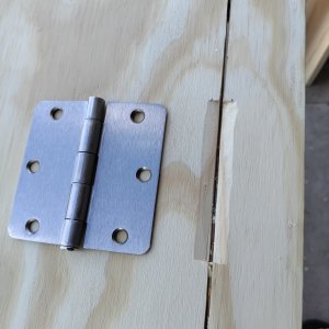 Door Hinge.jpg